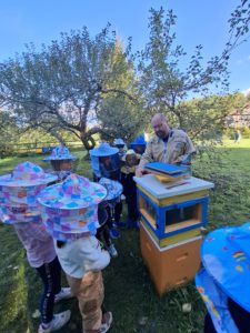 Pasieka na Szlaku Kopernika