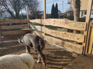 SeliRaj Gospodarstwo Agroturystyczne