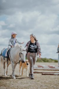 Stajnia Pełna Zwierząt